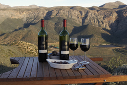 Bergwater Vineyard2.jpg